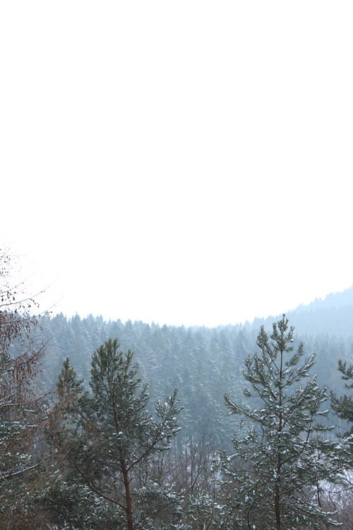 nicchessa:Solitude