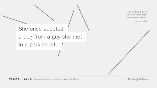 A haiku from the article: Don’t Fall in Love With Me, She Said. He Wouldn’t Listen.