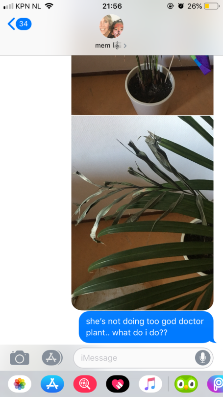 nyargthestar: likeful:  likeful:   likeful:  i think it’s so wholesome that whenever me or my friends have issues w our plants 🌱 .. i always send my mom a pic and she gives us a diagnosis and what to do     had another plant problem so i asked my
