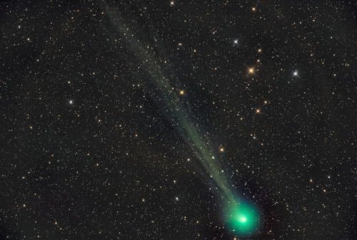 Comet Lovejoy Photographed by Simon W js