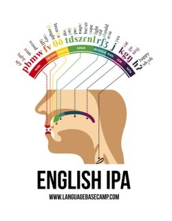 pervocracy: allthingslinguistic: The International Phonetic Alphabet consonants found in English, with keywords and relevant parts of the mouth highlighted and colour-coded. (Source.)  Pronouncing each of these in sequence is a very strange and amusing