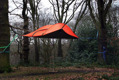 ddemonicc:  awkwardsituationist:  tensile stingray tents are made to be suspended over frozen, waterlogged, uneven or sloping ground, but can also be pitched like a conventional tent.   Gimmieeeee  this is scary