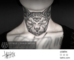 tattrx:  Sphynx Cat submission by leitbild