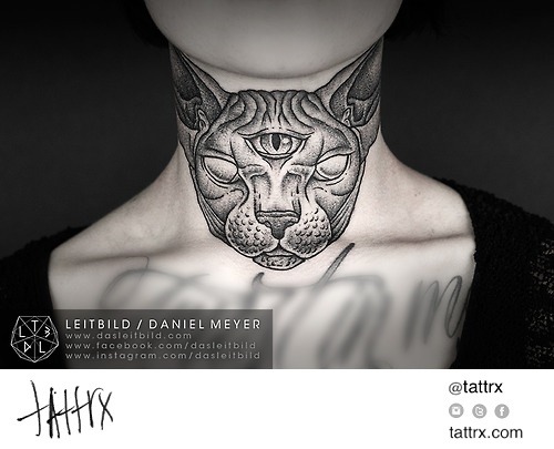 Porn photo tattrx:  Sphynx Cat submission by leitbild