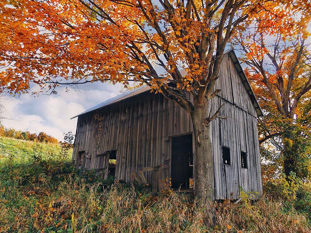 bookofoctober:Abandoned Ohio. Photos by cynvaughn