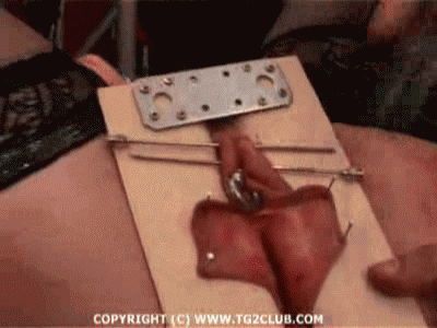 kinkystilettosnylonsslut:  mr-g-spot91:  exremepain:  Cunt Torture  @slutpuppy2rape   Exactly the way a piece of slut slave meat should be treated by nailing the labias down hooking the cunt and nailing her useless tits and nipples