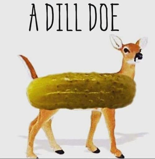 The Internet Was A Mistake