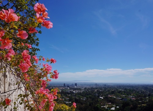 Springtime in L.A.