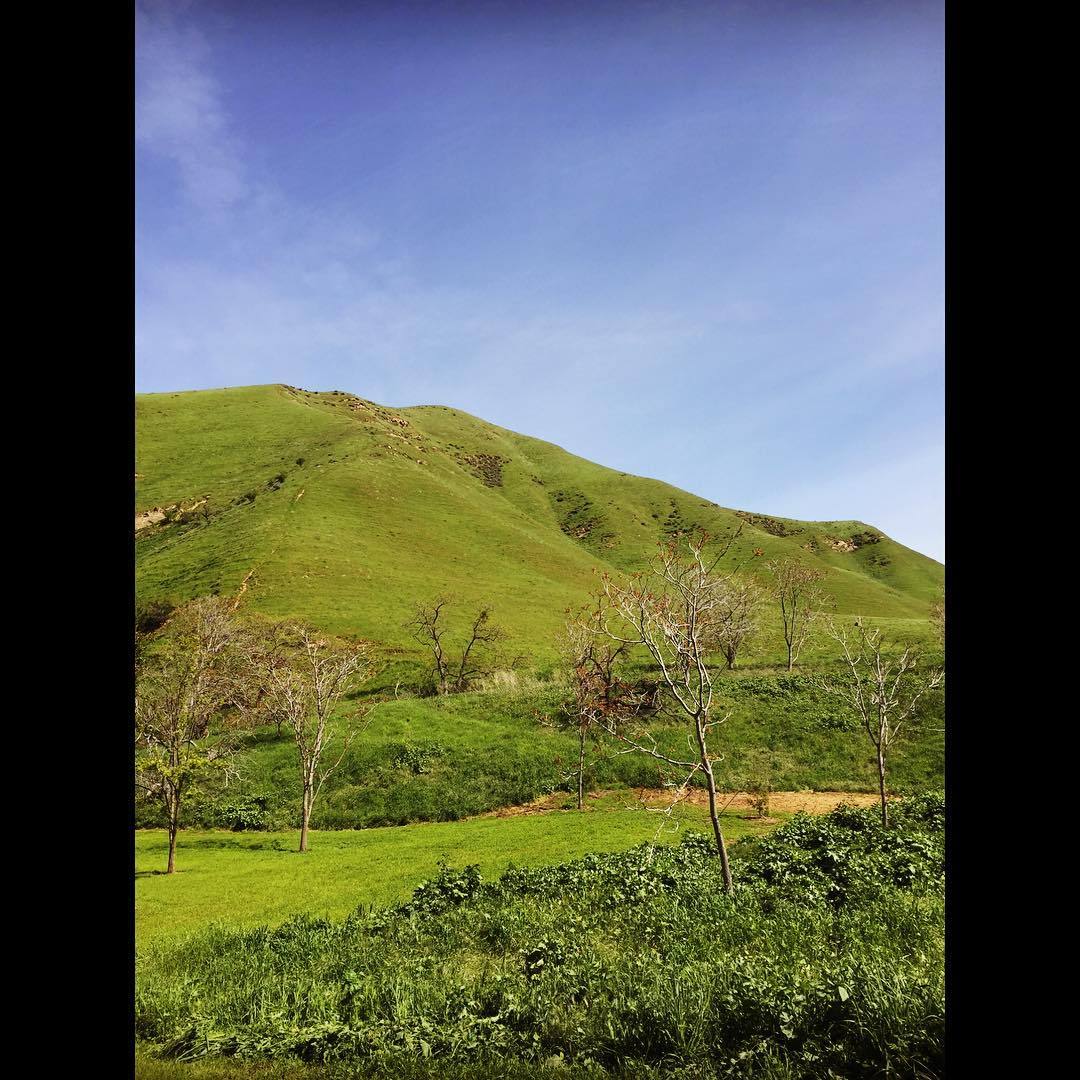 #blackdiamondminesregionalpreserve #eastbay #eastcounty #antioch #hills #hike  (at