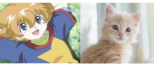 Bladers As Kittens