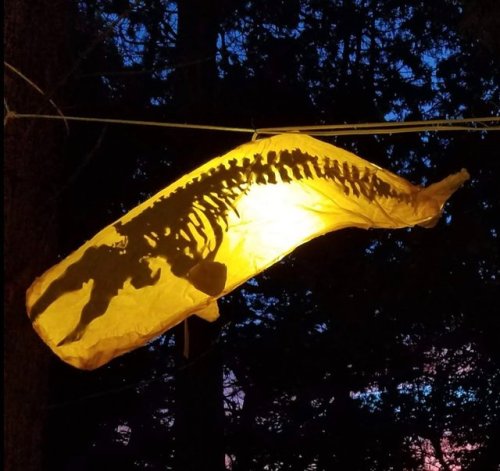 lastxleviathan: darkbookworm13: sosuperawesome: Whale Skeleton Lamps Whalefall Light on Etsy See our