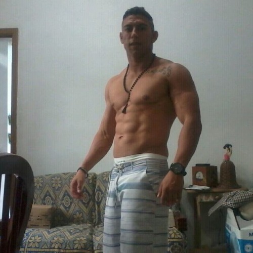 brazilianbamboo2:    BZB #437  
