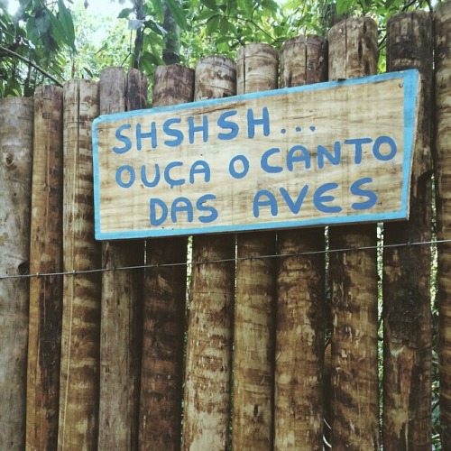 SEREIANI