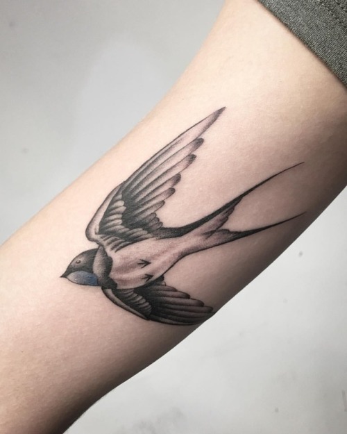 Tiny Swallow on tiny arms @bondiink666Goodluck with your next adventures mademoiselle DM or email 