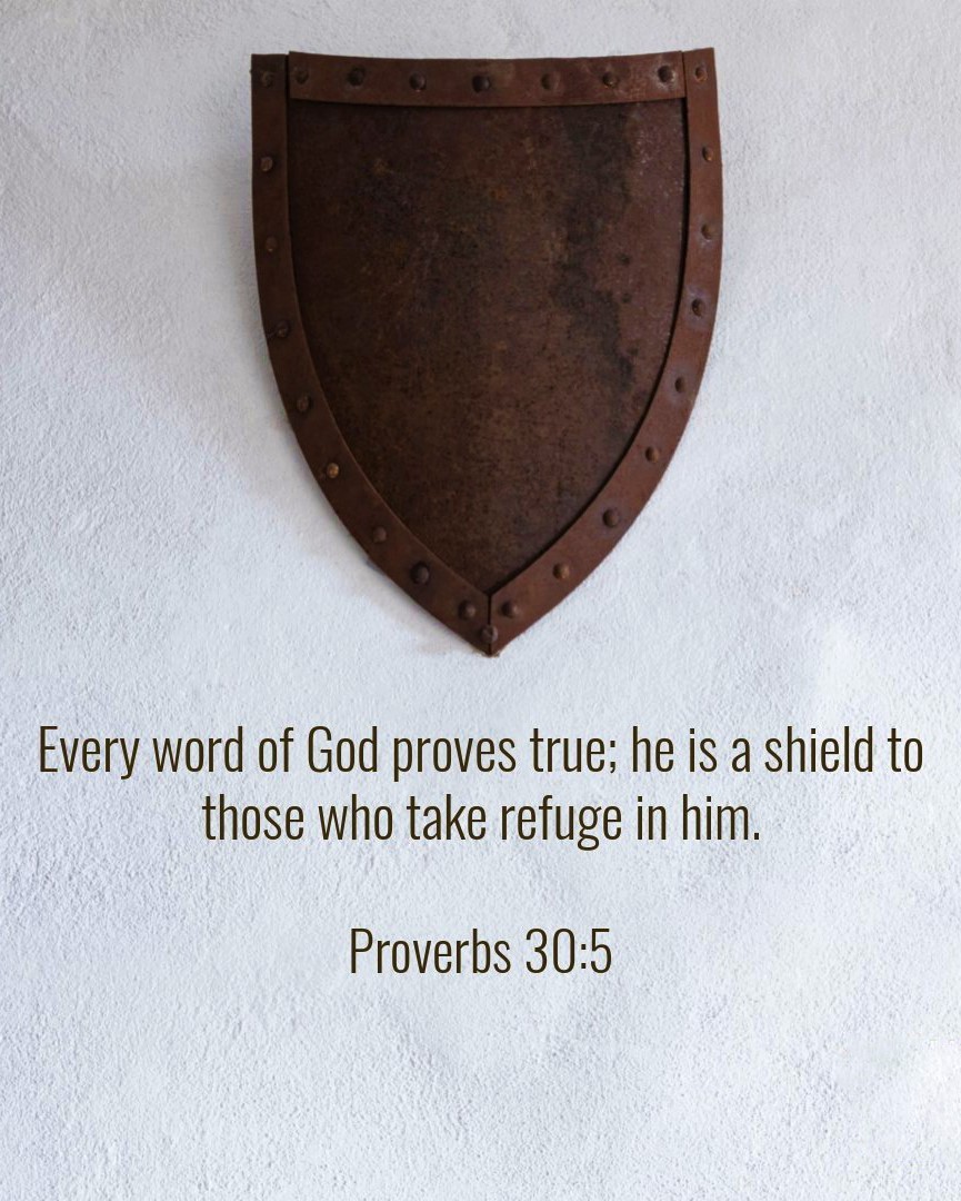 The Living Proverbs 30 5 ESV Every Word Of God Proves 