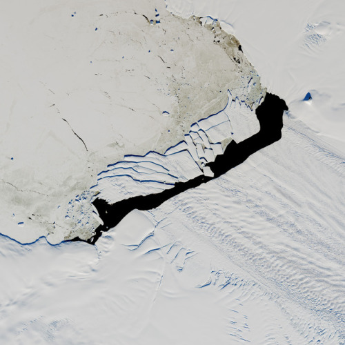 Under the Midnight Sun : In September 2017, a new iceberg calved from Pine Island Glacier—one of the