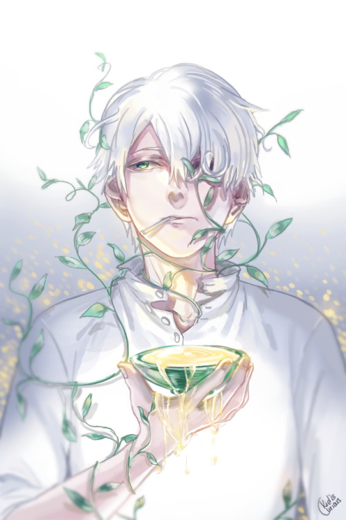 kiddays: Kouki