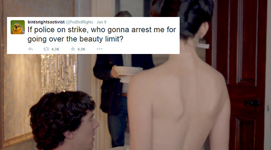 westingwood:  Sherlock + ProBirdRights TweetsBONUS: