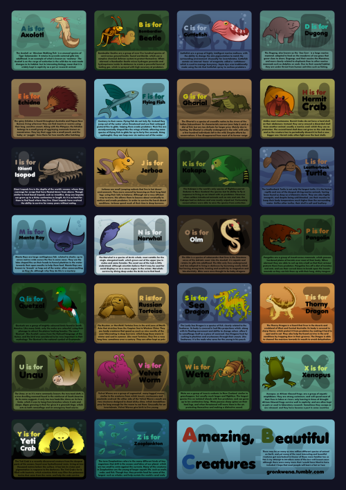 Here is my completed “Amazing, Beautiful Creatures” project as an A2 wall chart! There m