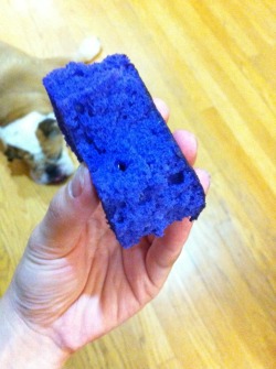 wontongod:  UBE CAKE!!!!!!!!!!!!!!!!!!! 