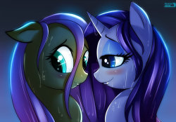 fuckyeahrarity:  Rarity and Fluttershy by