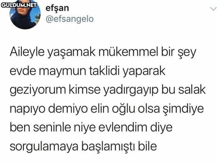 evde niye maymun taklidi...