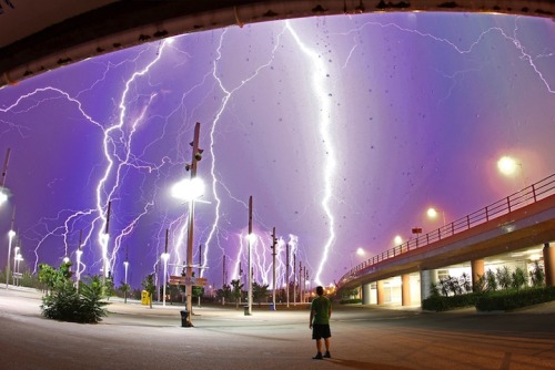 lionversusbear:getting pictures of lightning is HARD, yo