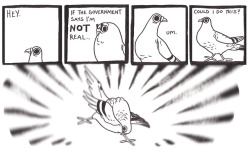pigeoncomics:  Pigeon Comic 99 - Wake Up