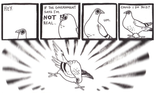 Pigeon Comic 99 - Wake Up