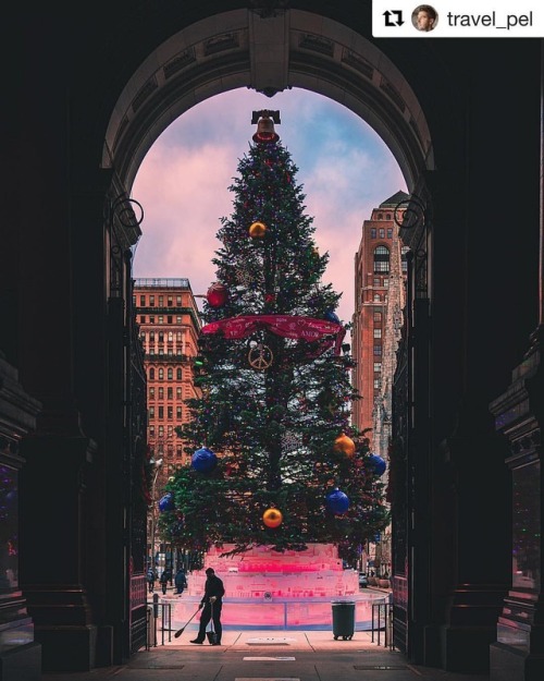 #Repost @travel_pel with @get_repost ・・・ “There it is! The Griswold family Christmas Tree!&rdq