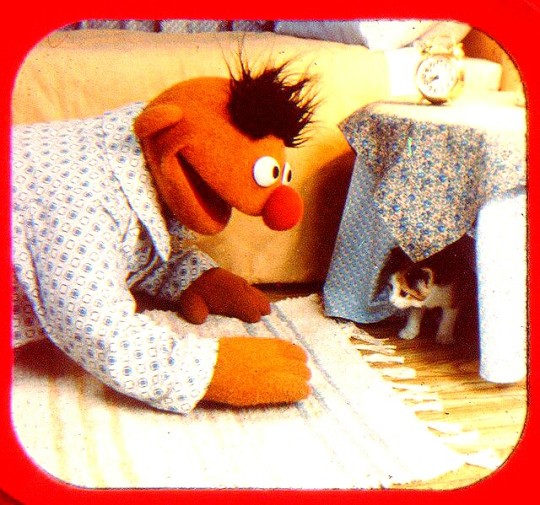 1dietcokeinacan:  christiandiorhypnoticpoison:   jimhenson-themuppetmaster:  Bert and Ernie with a Kitten, taken from a Magazine Article.  @1dietcokeinacan   Scream. Hello LGBT community 