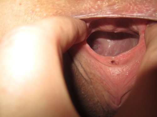 loosepussyland: faensteike: I think I’ve got a hair stuck in my pussy and it really itches, but I ca