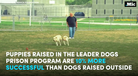 the-movemnt:Programs like these are helping to change lives on both sides of the prison wall (x) | f