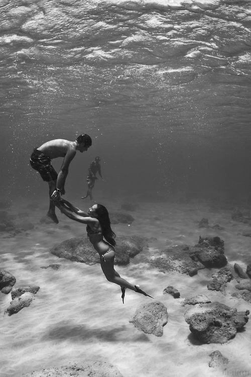 bastardofseverus.tumblr.com/post/96933727108/