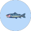 chillfin-tests