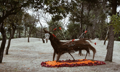 luisglzruiz:  -Megaofrenda Frida Kahlo UNAM 01/11/2014 