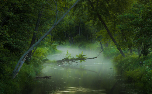 quiet-nymph:Photography by RLisak @ PhotoCrossroads.com