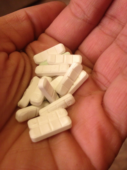 were-all-mad-here-909:  Want one? 
