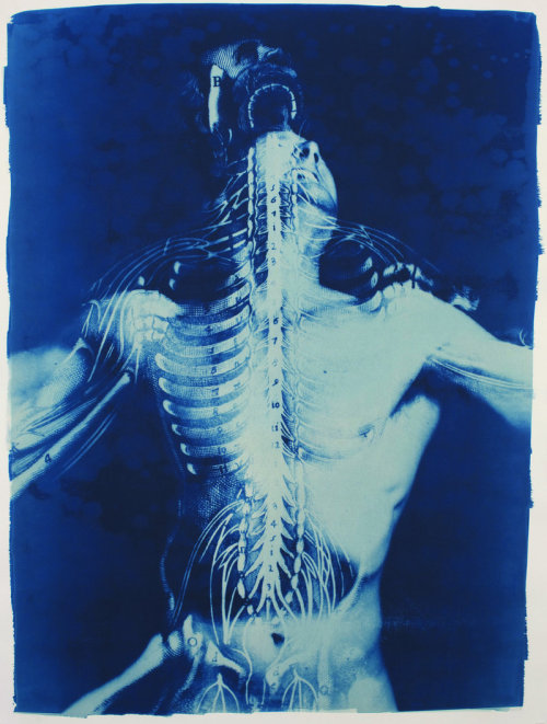 2headedsnake:Thomas Hager‘Departure’, 2009Cyanotype photograph