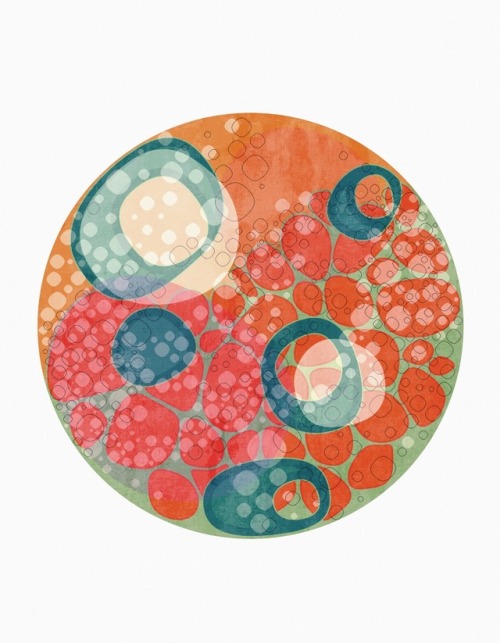 lifeasillustrated:Petri
