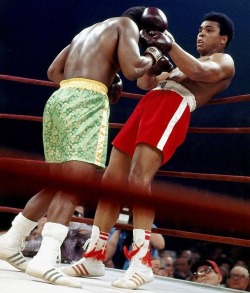 bestofboxing:  Ali-Frazier I