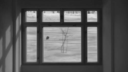 24 Frames, 2017, Abbas Kiarostami#3