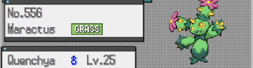 Top Contenders For "funniest Name I've Ever Given A Pokmon"