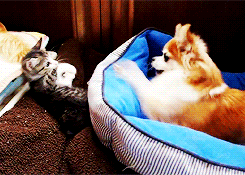 I bet these two could get along well&hellip;