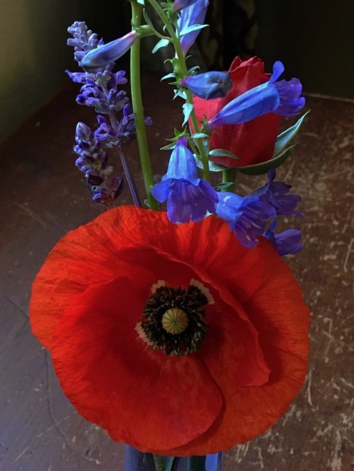 Bouquets from my garden this morning. Happy sigh.