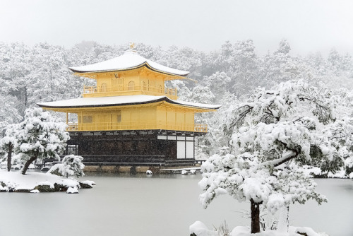 雪の金閣寺舎利殿 ／ Kinkaku-ji Temple in Winter by Active-U on Flickr.