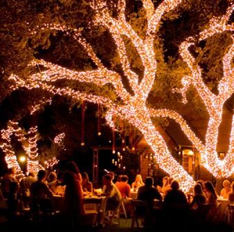Bodas Y Weddings — Rodea los árboles con luces navideñas para lograr...