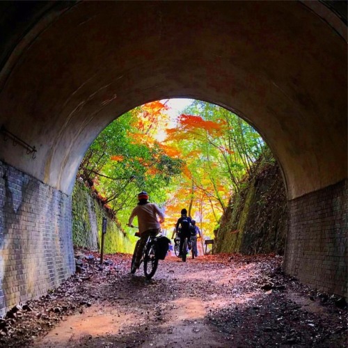 tothenexttrail:#crazysheep #frankrideandeat #武田尾廃線跡 #trip #mountainbikes #tunnel トンネルを抜けるとそこは、、、 (旧福