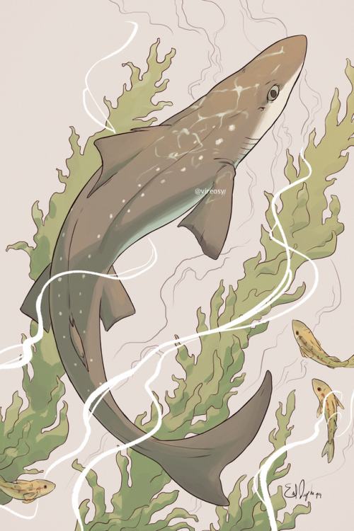 vireosy: my piece for @swimonzine​ vol.5 ft. a spiny dogfish!ko-fi / twitter / deviantArt / wys