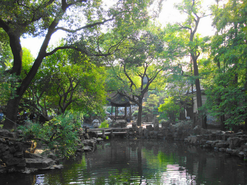 DSC02926(1) by mawique on Flickr.chinese garden